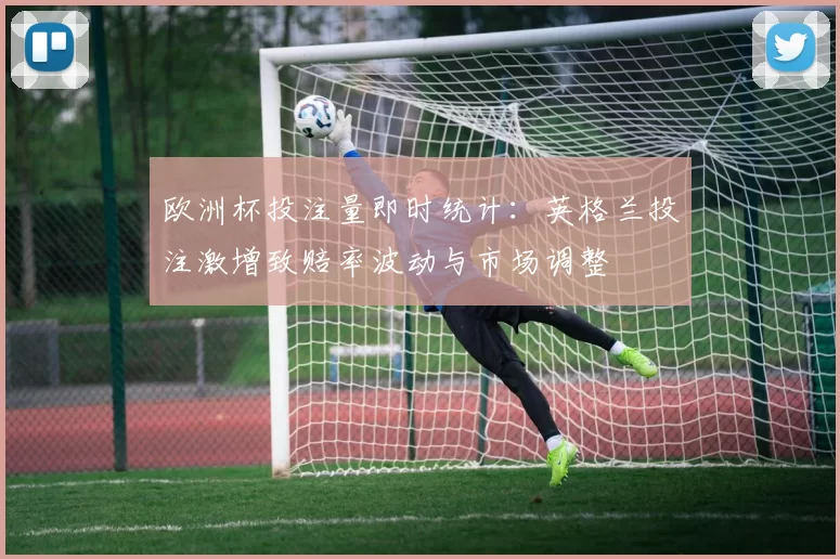 欧洲杯投注量即时统计：英格兰投注激增致赔率波动与市场调整