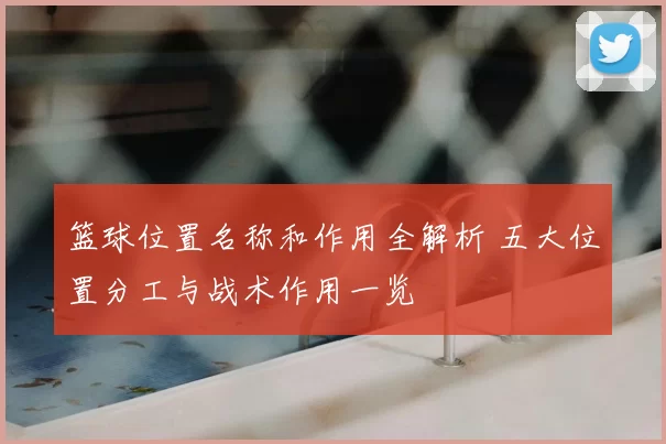 篮球位置名称和作用全解析 五大位置分工与战术作用一览