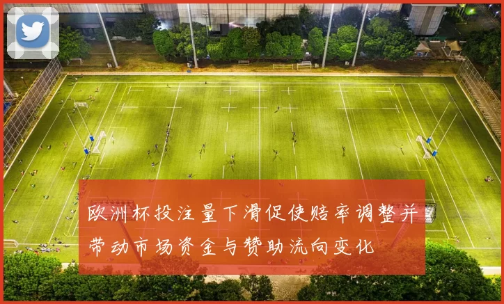 欧洲杯投注量下滑促使赔率调整并带动市场资金与赞助流向变化