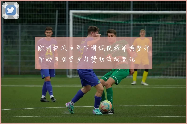 欧洲杯投注量下滑促使赔率调整并带动市场资金与赞助流向变化