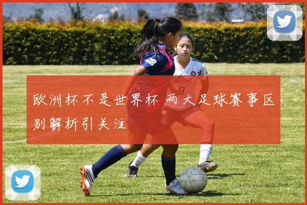欧洲杯不是世界杯 两大足球赛事区别解析引关注