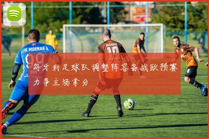 匈牙利足球队调整阵容备战欧预赛力争主场拿分