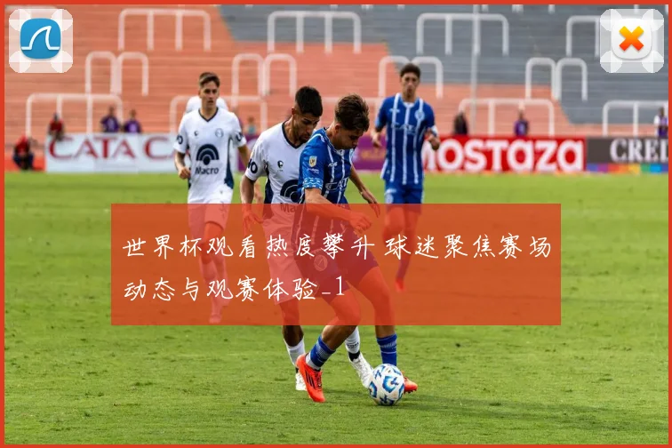 世界杯观看热度攀升 球迷聚焦赛场动态与观赛体验_1