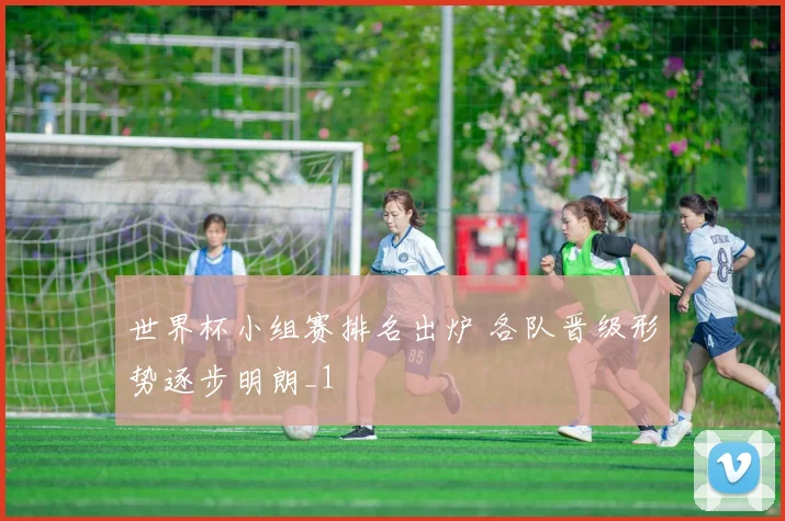 世界杯小组赛排名出炉 各队晋级形势逐步明朗_1