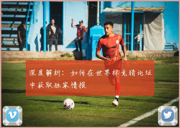 深度解析：如何在世界杯竞猜论坛中获取独家情报