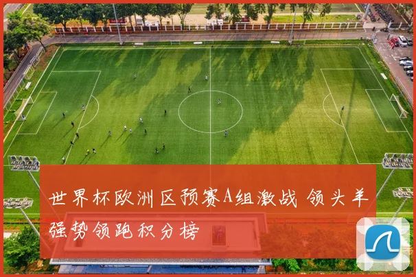 世界杯欧洲区预赛A组激战 领头羊强势领跑积分榜