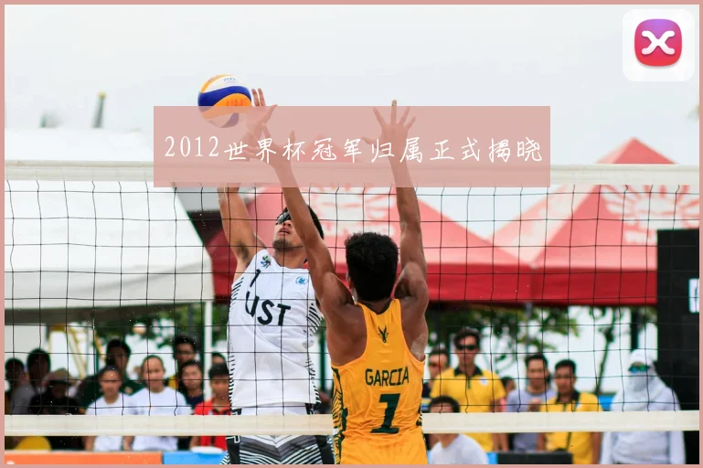 2012世界杯冠军归属正式揭晓