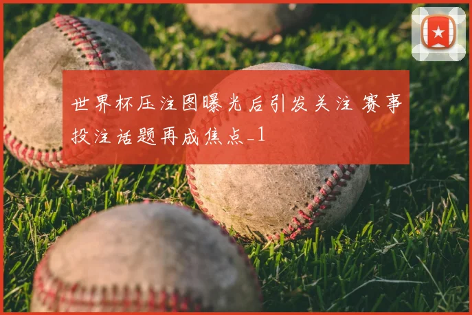 世界杯压注图曝光后引发关注 赛事投注话题再成焦点_1