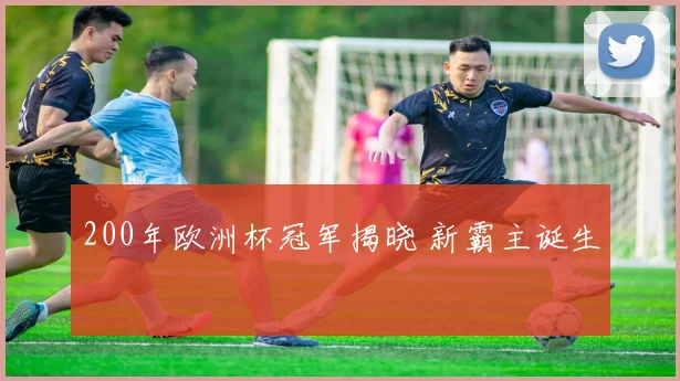 200年欧洲杯冠军揭晓 新霸主诞生