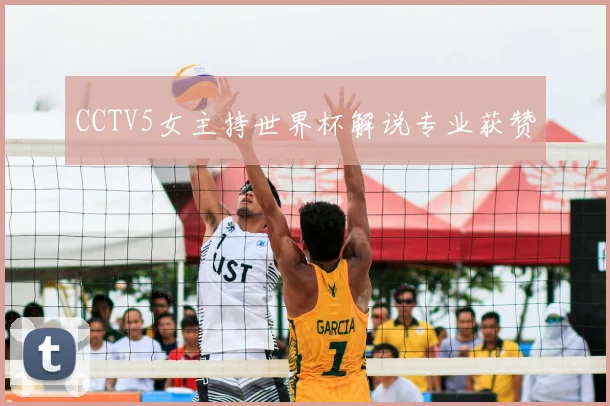 CCTV5女主持世界杯解说专业获赞