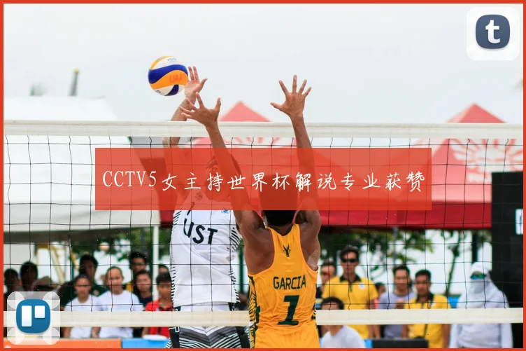 CCTV5女主持世界杯解说专业获赞